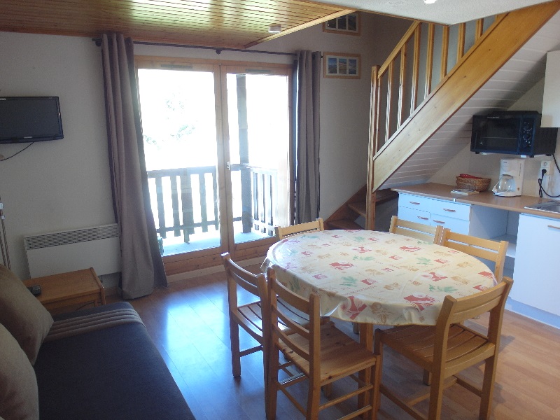 St bernard best sale apartment